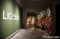 VBS_3005 - Mostra Ligabue - Promotrice delle Belle Arti Torino